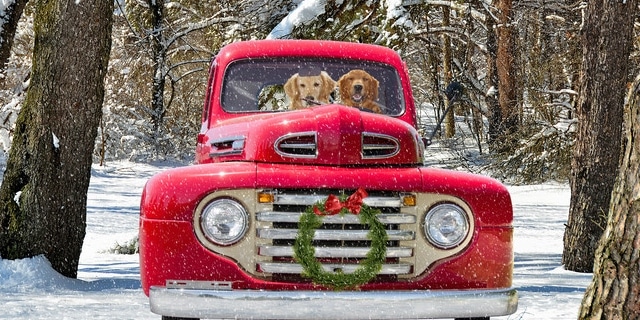 Christmas-Truck-Dogs-640x320